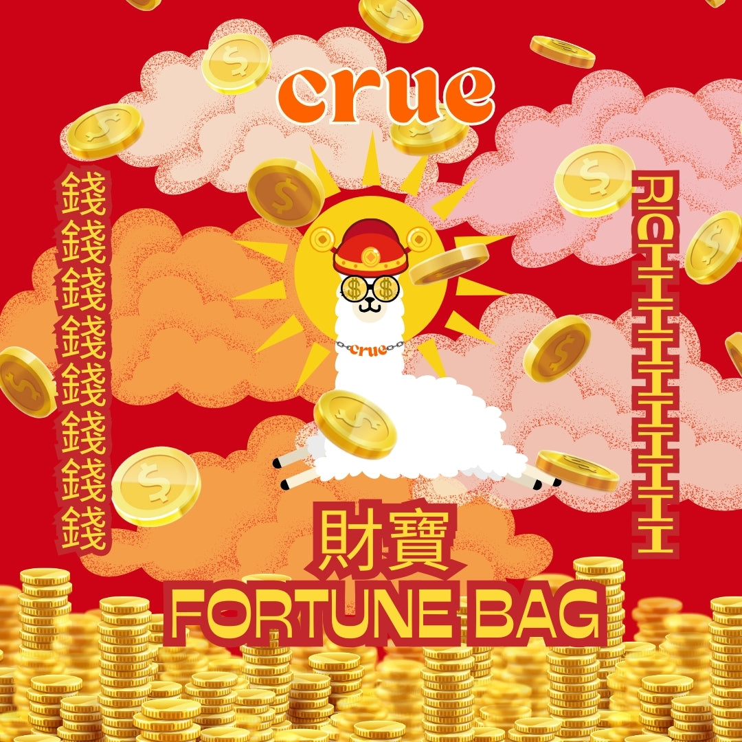 Fortune Bag 財寶